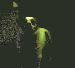 DƬ